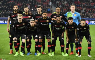 花生油精炼设备,花生油精炼设备脱色、脱水工段