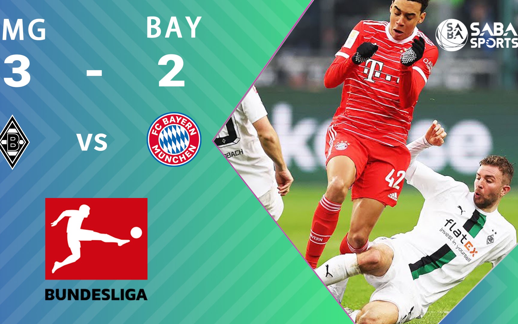 YZYX15型螺旋榨油机