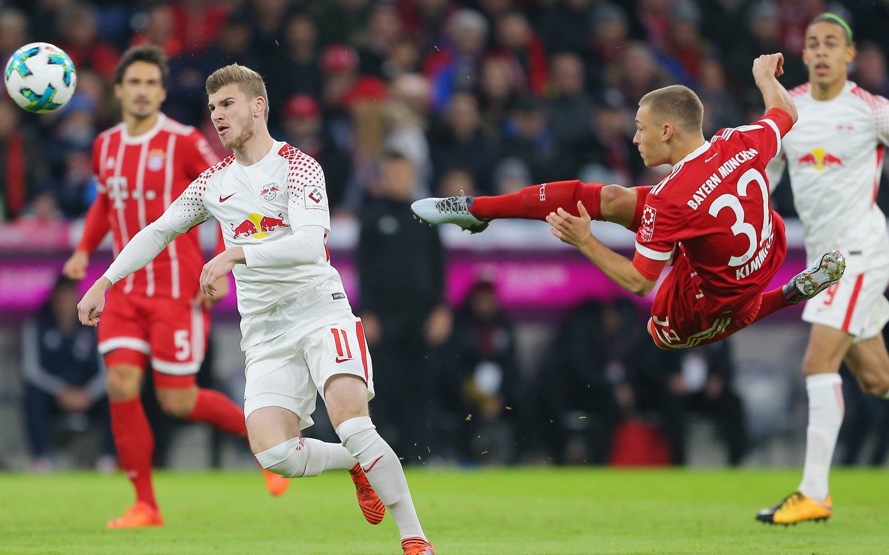 动物油熬炼设备