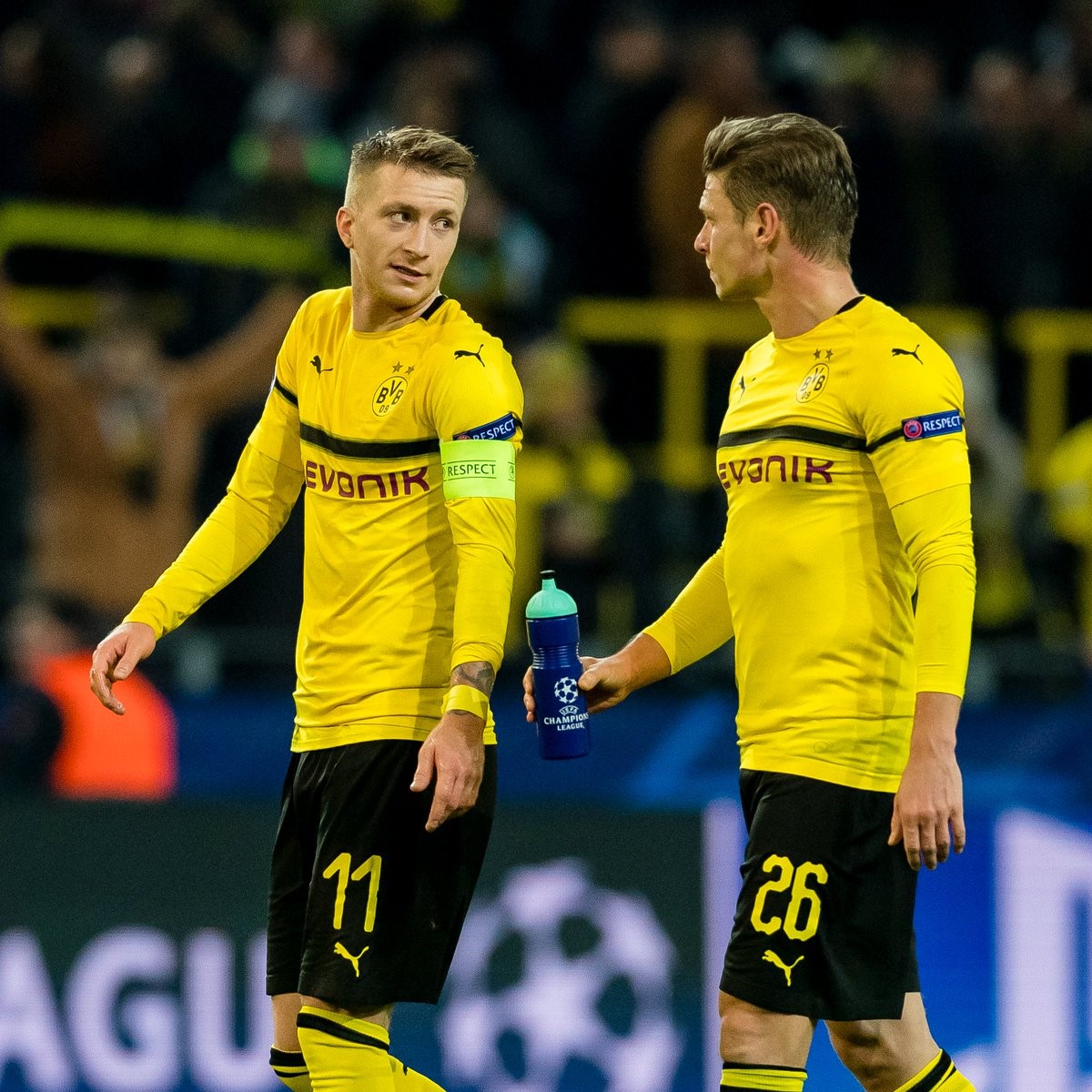 1吨-10吨茶籽油生产线