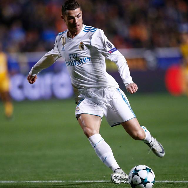 动物油熬炼设备